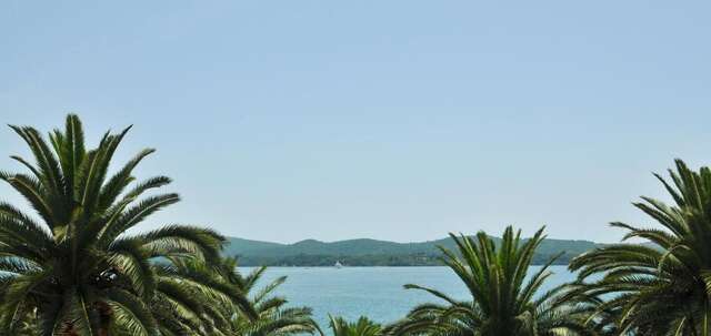 Апартаменты Apartman City Centar Тиват-20